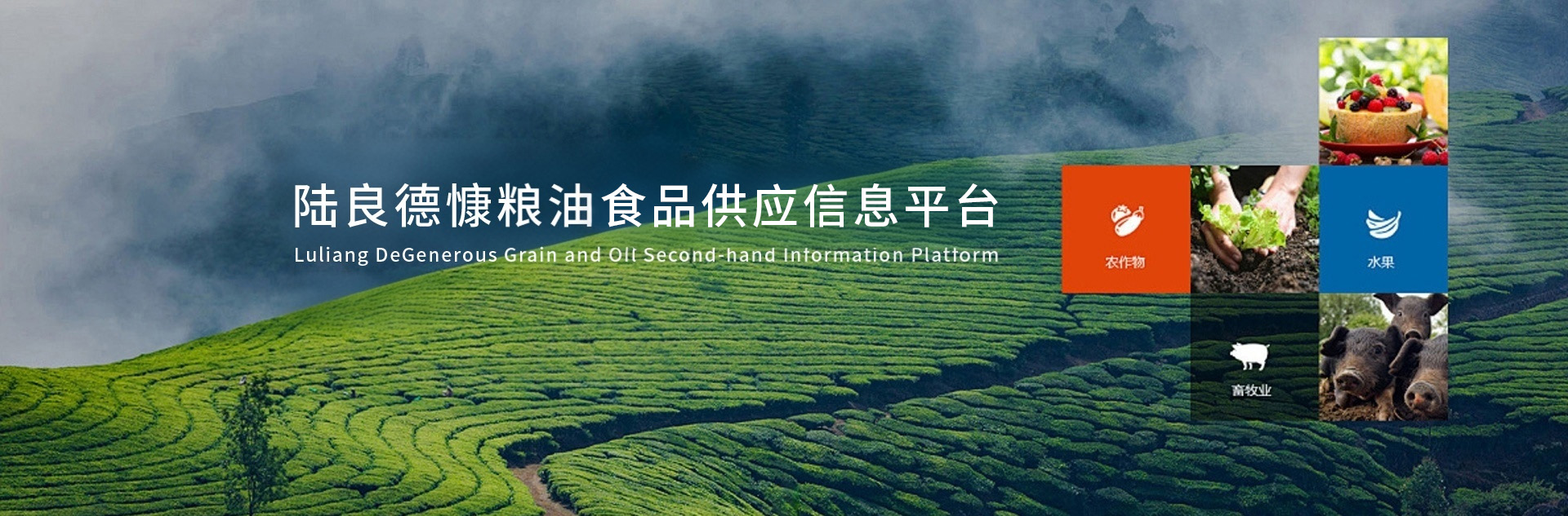 轮播图
