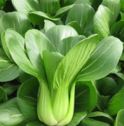 云南青新鲜蔬菜，带箱5斤装，自家菜园子的