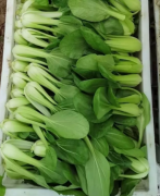 云南青新鲜蔬菜，带箱5斤装，自家菜园子的