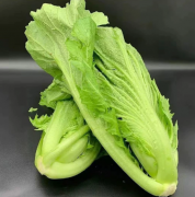 芥菜9斤包邮，新鲜青菜盖菜腌菜蔬菜当季大叶苦菜，可打汤、清炒