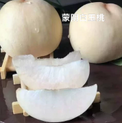五斤包邮白桃脆桃甜桃白雪公主蒙阴蜜桃新鲜水果孕妇水果