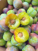 四川脱骨李青脆李正宗脆甜李子新鲜水果应季水果5斤