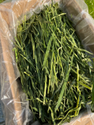 2026新头茬全叶烘干南提1kg，宽叶提摩西